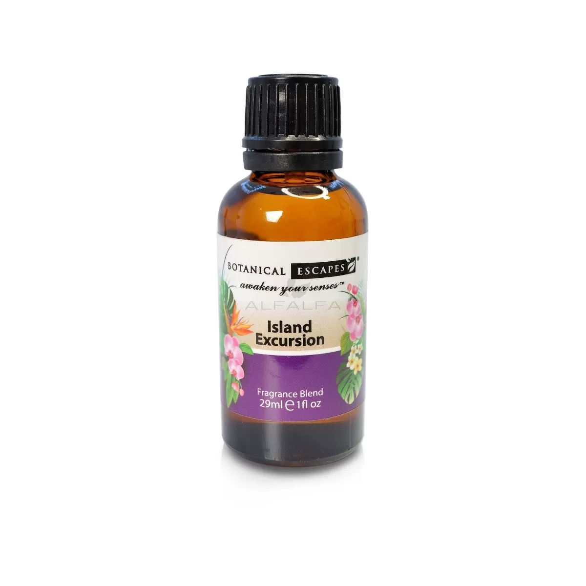 Botanical Escapes Herbal Spa Essential & Fragrance Oils – 1 oz