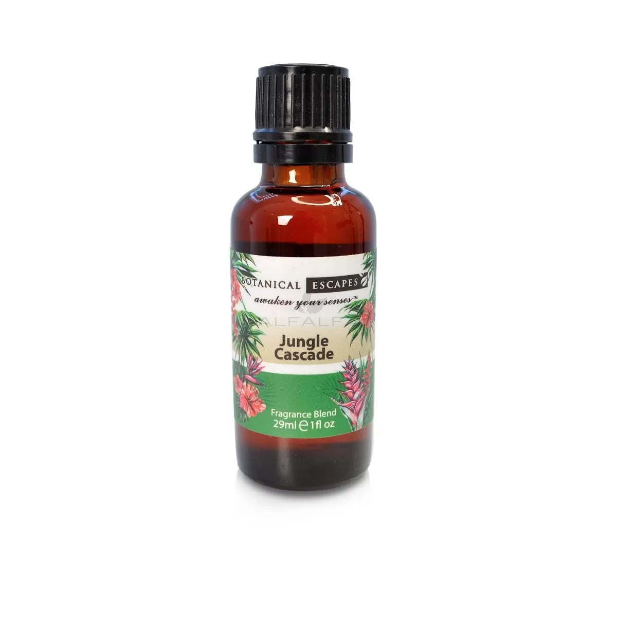 Botanical Escapes Herbal Spa Essential & Fragrance Oils – 1 oz