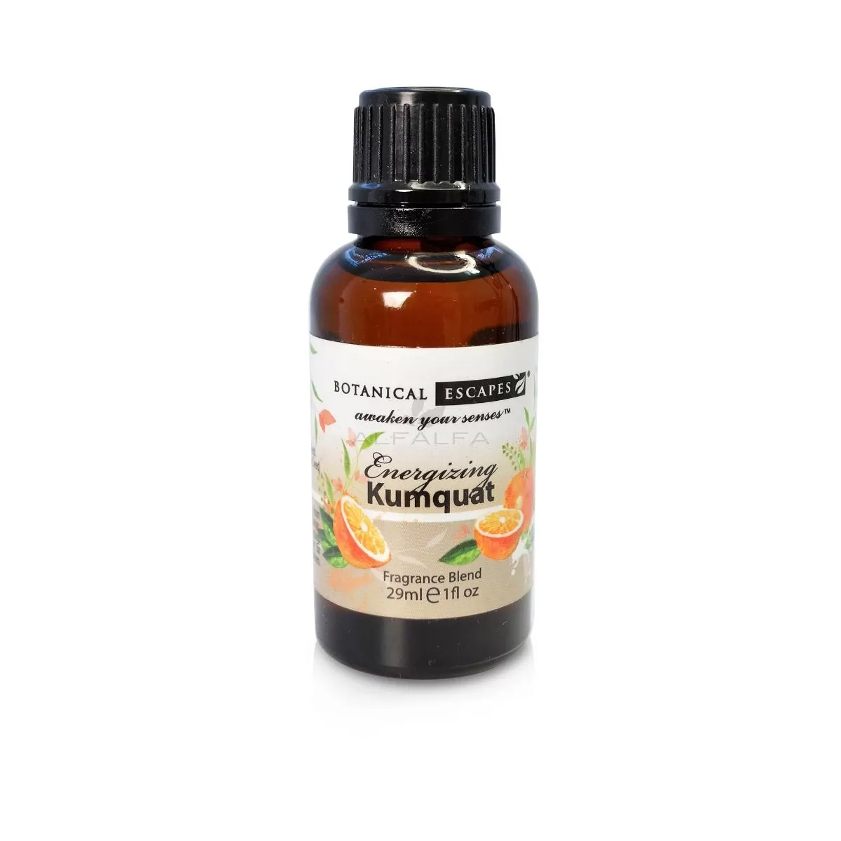Botanical Escapes Herbal Spa Essential & Fragrance Oils – 1 oz