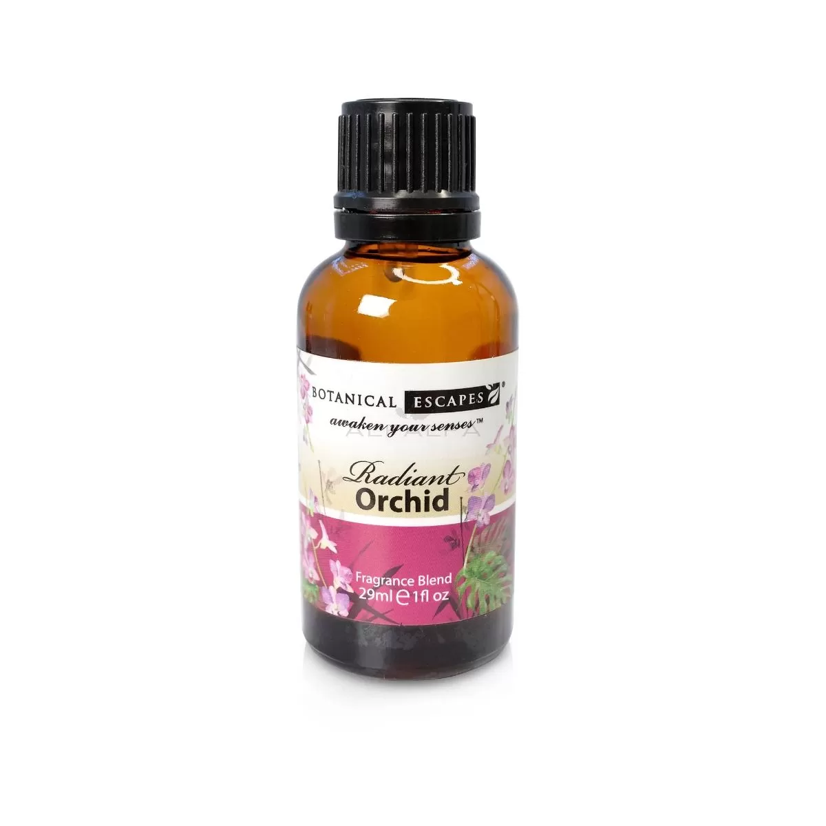 Botanical Escapes Herbal Spa Essential & Fragrance Oils – 1 oz