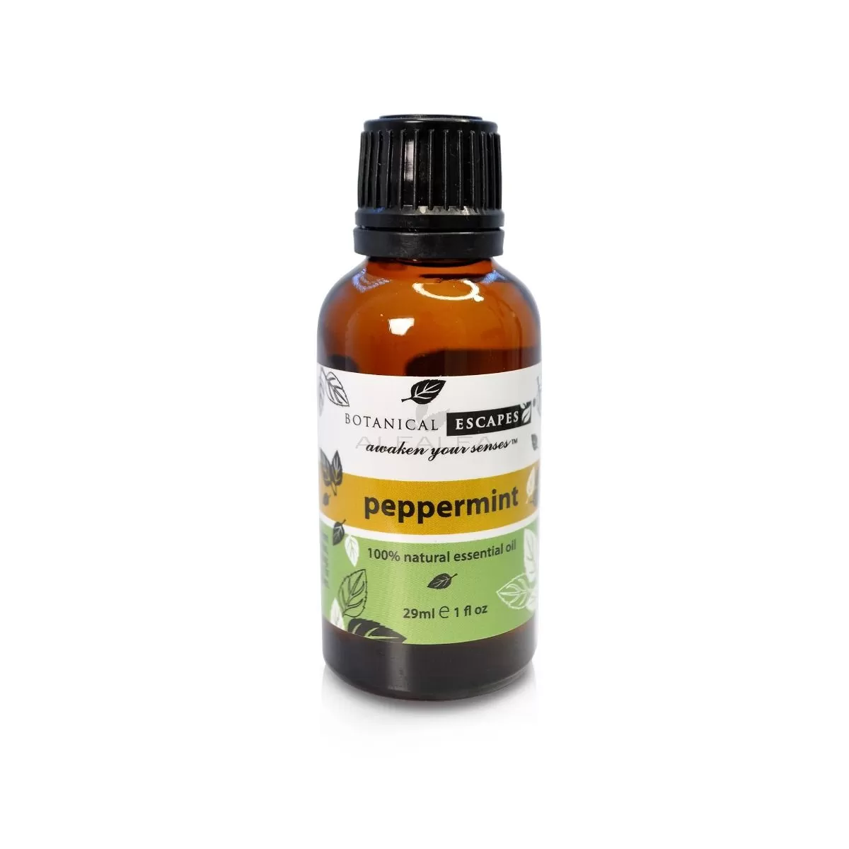 Botanical Escapes Herbal Spa Essential & Fragrance Oils – 1 oz