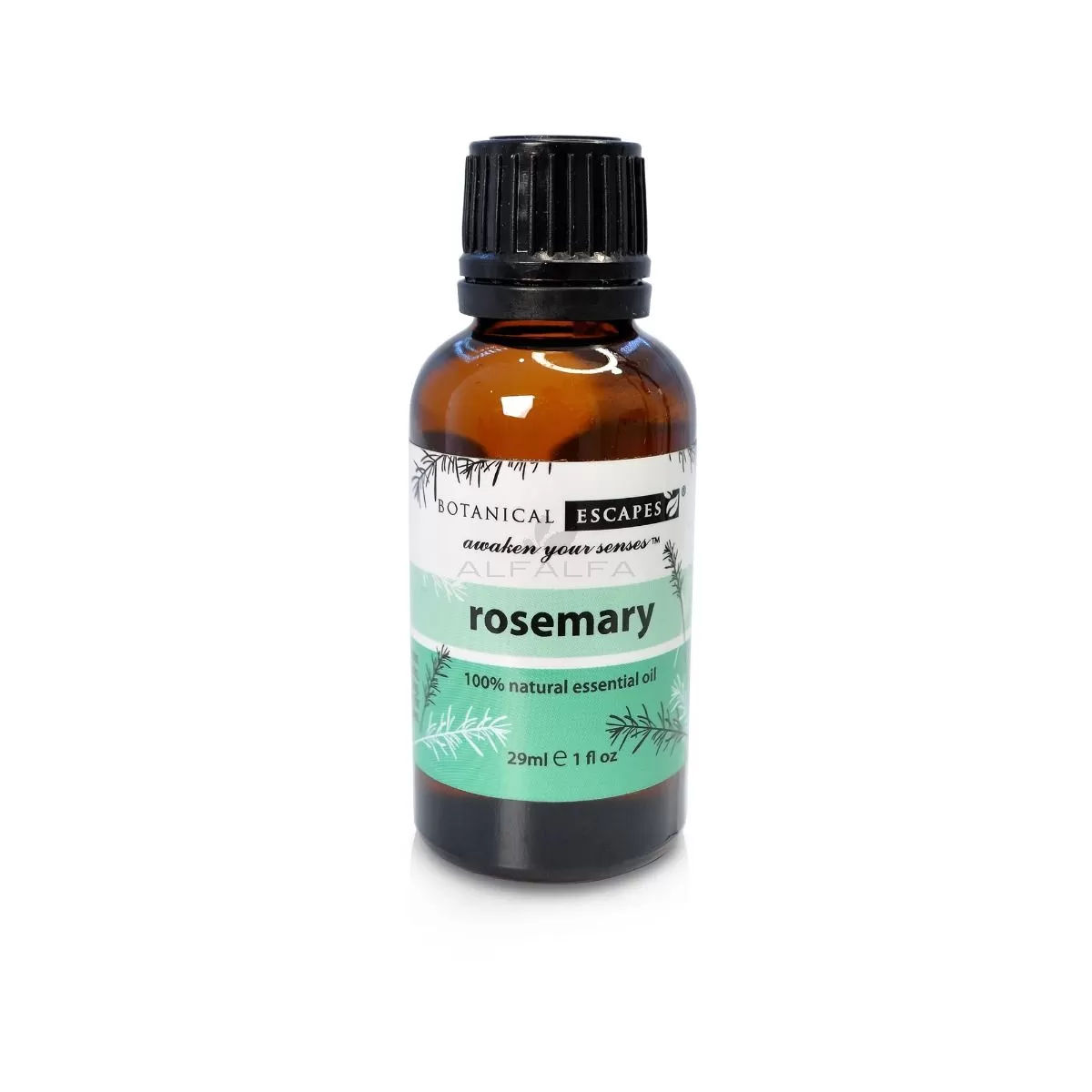 Botanical Escapes Herbal Spa Essential & Fragrance Oils – 1 oz