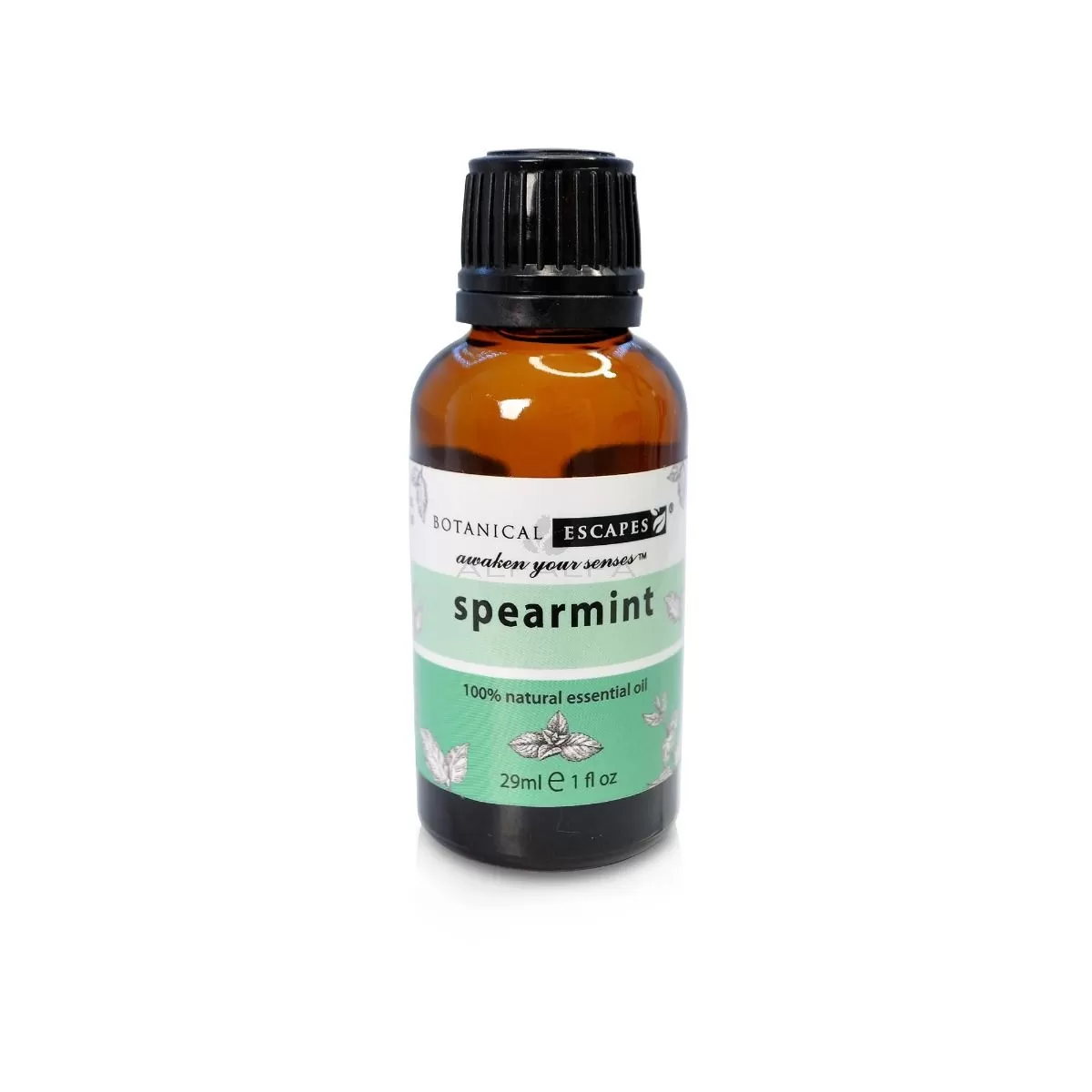 Botanical Escapes Herbal Spa Essential & Fragrance Oils – 1 oz