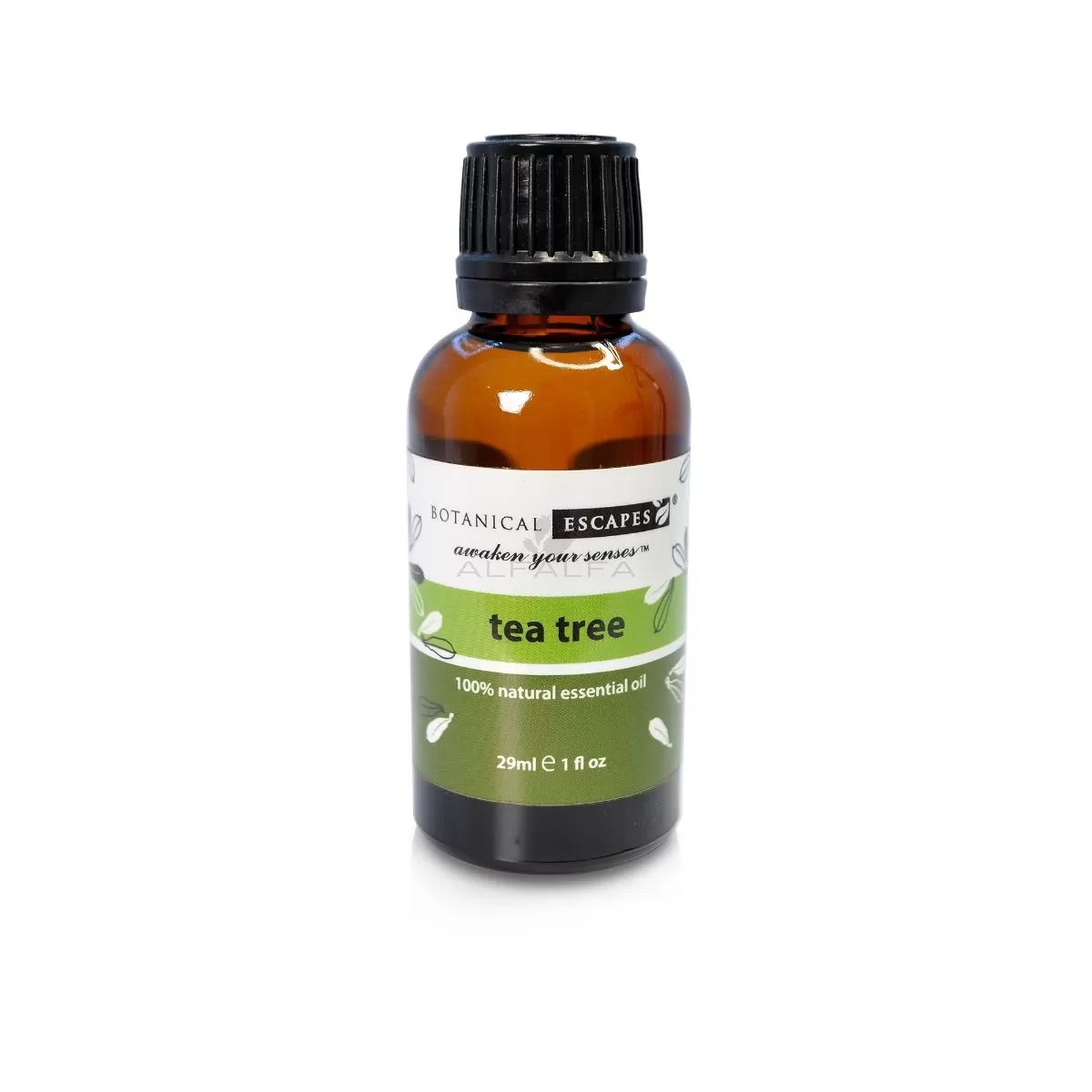 Botanical Escapes Herbal Spa Essential & Fragrance Oils – 1 oz