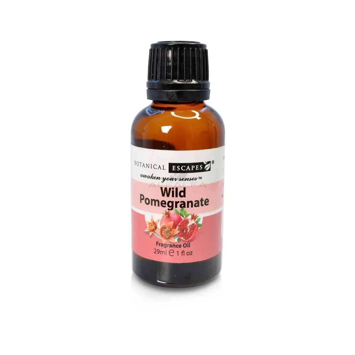 Botanical Escapes Herbal Spa Essential & Fragrance Oils – 1 oz