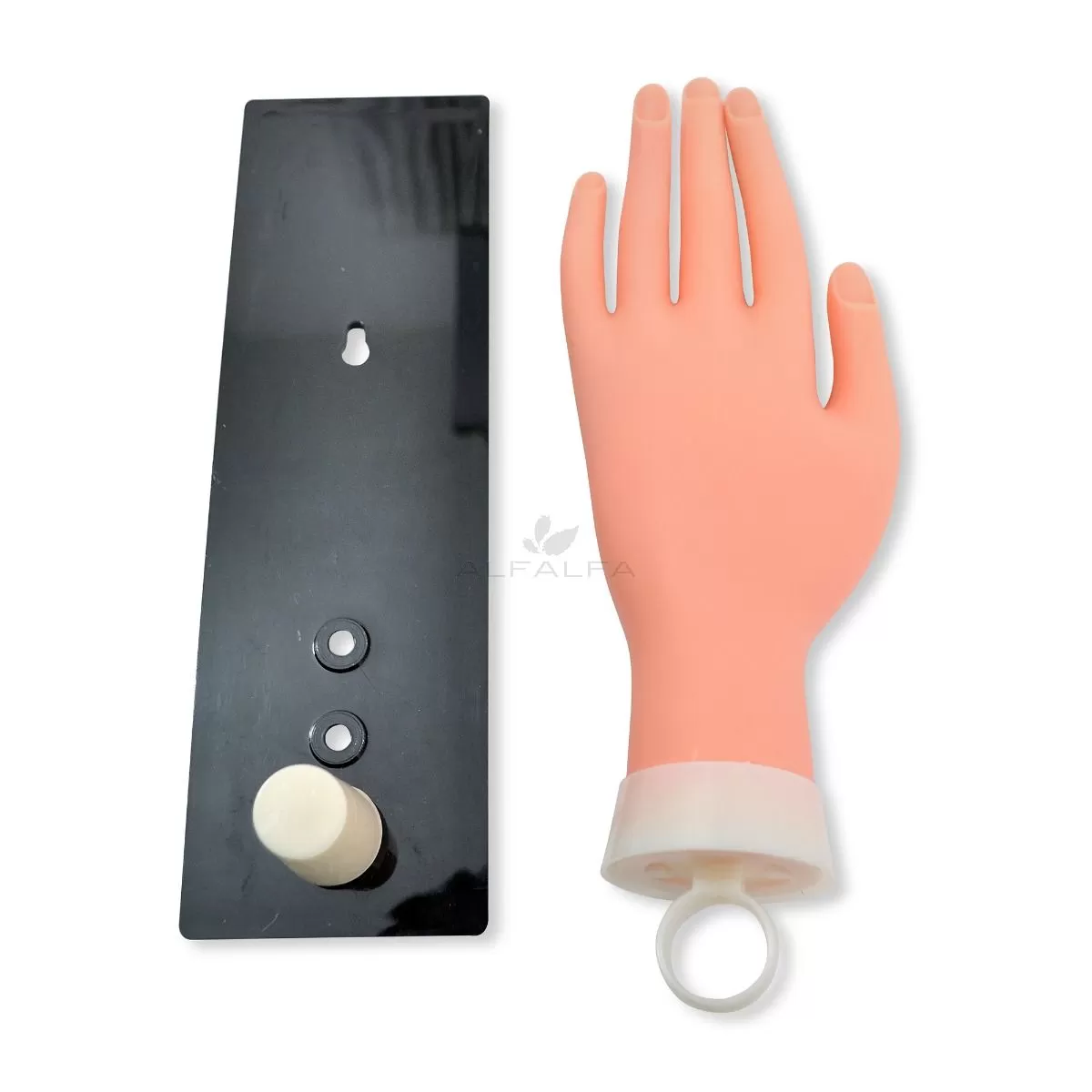Practice Hand Deluxe