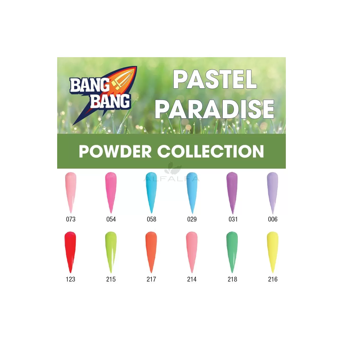 BangBang Pastel Paradise Powder Collection 