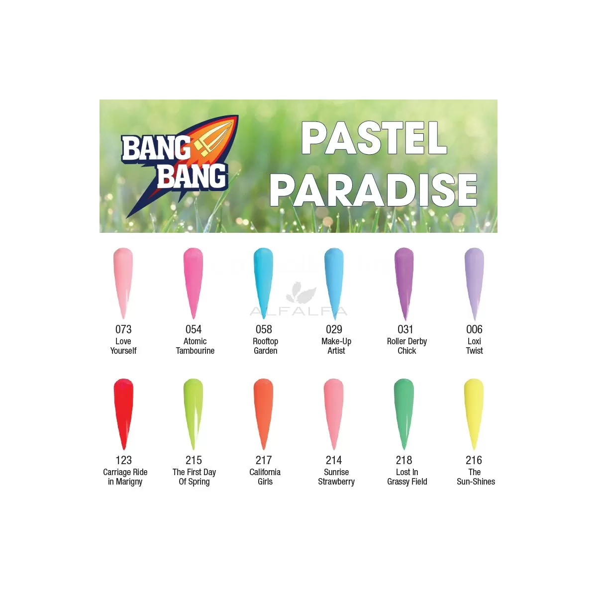 BangBang Pastel Paradise Powder Collection 