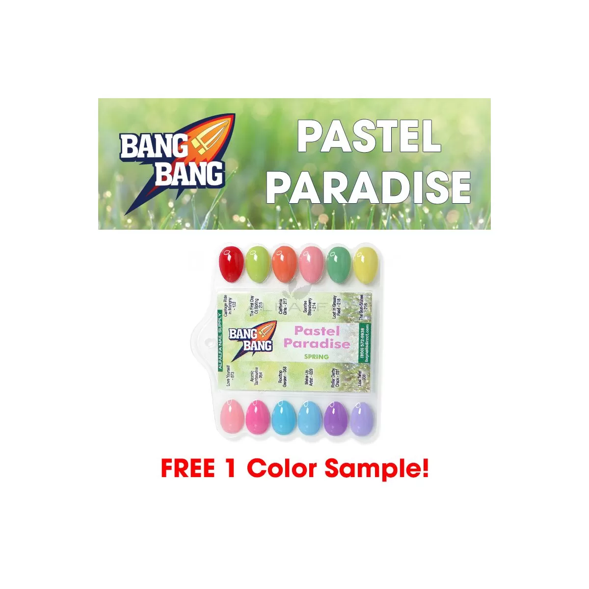 BangBang Pastel Paradise Powder Collection 