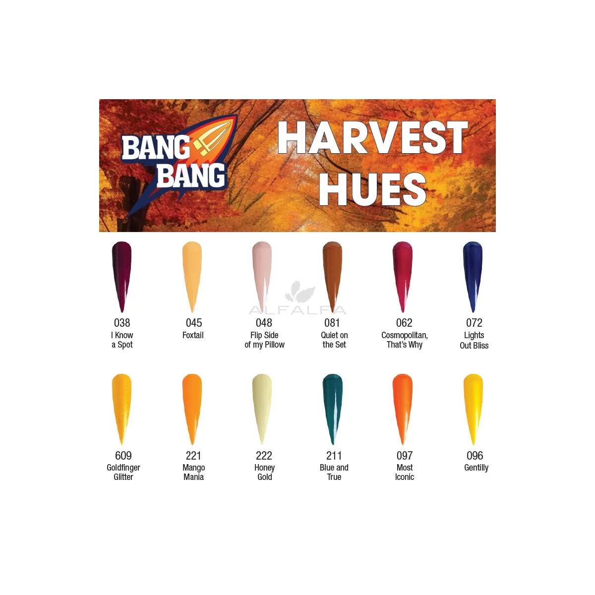 BangBang Harvest Hues Powder Collection