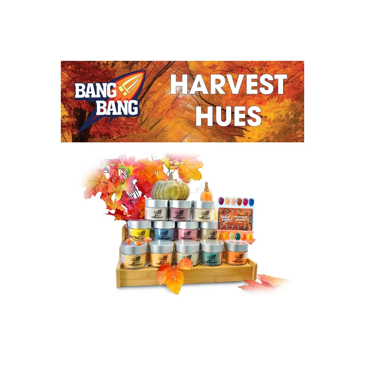 BangBang Harvest Hues Powder Collection