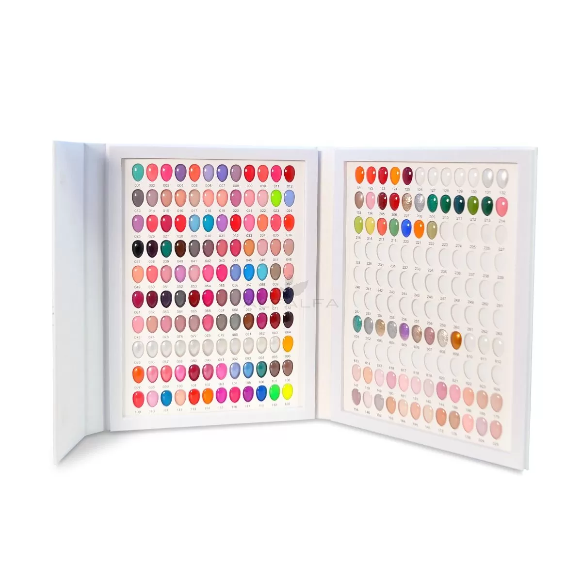 Bangbang Color Chart Display Book