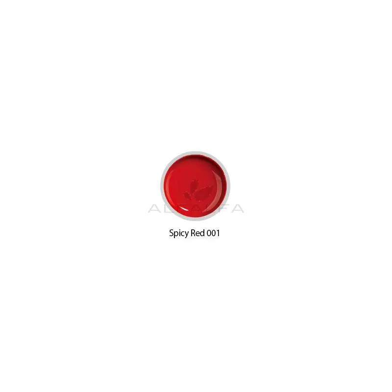 Beyond - #001 Painting Gel - Spicy Red - 8 gr