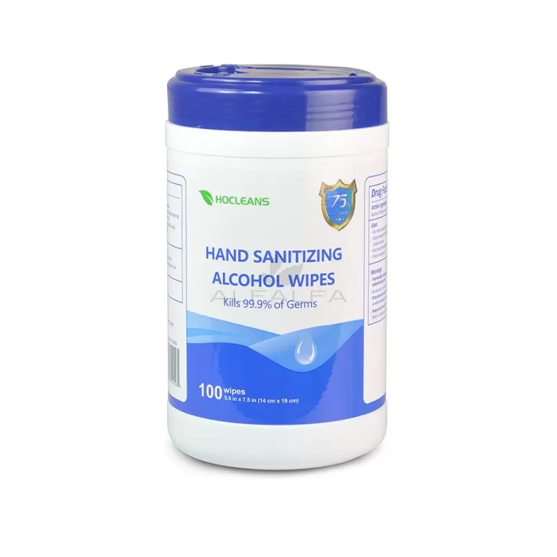 Hocleans Hand Sanitizing Wipes - 100 pcs