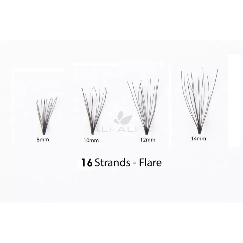 #1 Eyelash Flare Jar 10MM -16 Medium